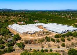 Complex for sale in Silves, Algoz