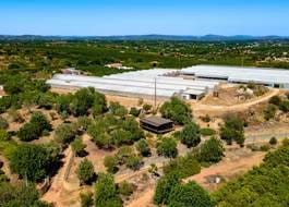 Commercial property for sale in Silves, Algoz