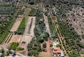 Terreno com viabilidade de construção em Canhestros, Silves. Ideal para Vida Tranquila e Projeto Agrícola