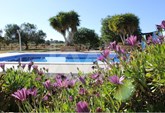 Beautiful Detached Villa with Large Swimming Pool and Garden