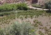 Rustic Land in S. Marcos - Silves with Well and Water Wheel
