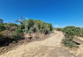 Plot of land with 13640 m2 located in Lombos, Parish of Lagoa and Carvoeiro