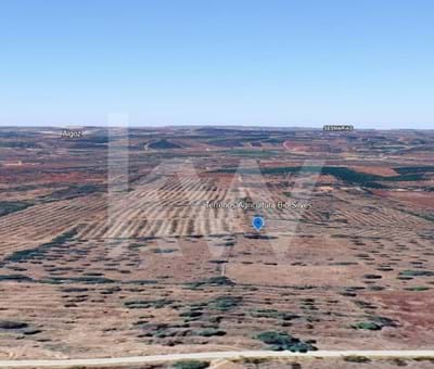 Certified Land for Organic Farming Production in Silves - Silves Franqueira
