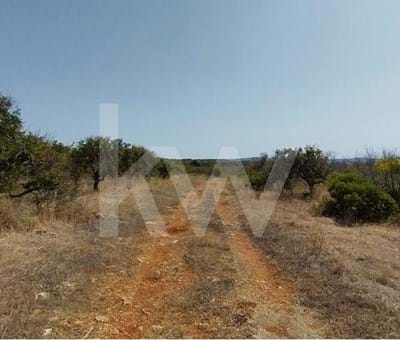 Certified Land for Organic Farming Production in Silves - Silves Franqueira