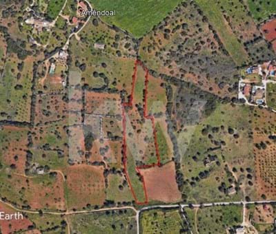 Rustic land with 13,880 m2 located in Terras Novas, Albufeira - Albufeira Vale da ursa