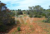 Rustic land with 13,880 m2 located in Terras Novas, Albufeira