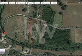 LAND WITH CITRUS ORCHARD AND WELL IN PADERNE