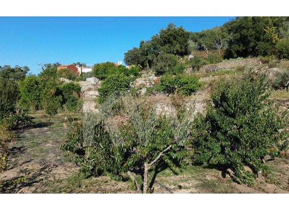 Plot of land with 1600sqm, good access and abundance of water in Monchique