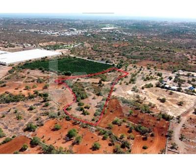 Land with 13 480m² next to the M516 road: Moncarapacho- Estoi - Faro Barranco de são miguel