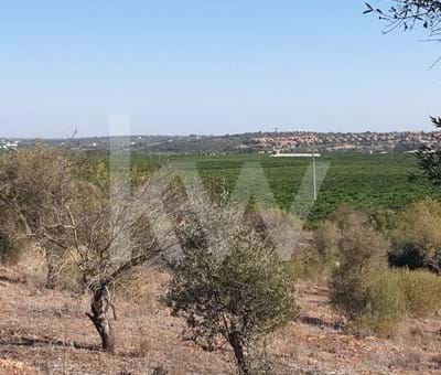 Alcantarilha: Agricultural land with building feasibility and panoramic countryside views - Silves 