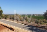 Alcantarilha: Terreno agrícola com viabilidade de construção e vista panorâmica de campo