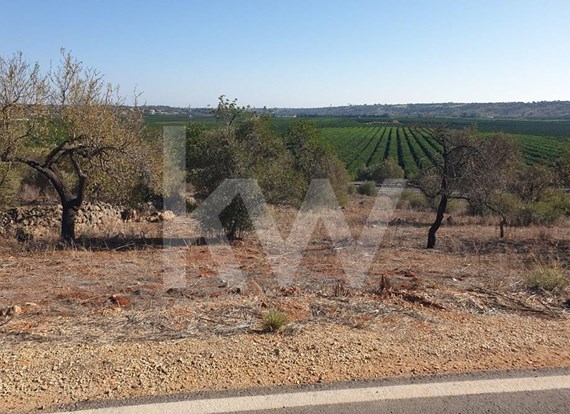 Alcantarilha: Agricultural land with building feasibility and panoramic countryside views