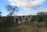 Land with 15500m2, located in the parish of Pêra, municipality of Silves