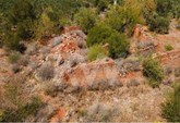 Terreno com ruína - São Bartolomeu de Messines