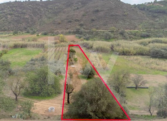 Plot of Agricultural Land | 920m2 | Guarda dos Pereiros | Odeleite