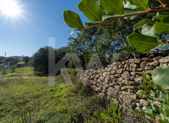 Agricultural Land Wall and Gate Near Boliqueime, Loulé, Quarteira, and Almancil
