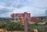 RUSTIC LAND with 7920m2 IN UMBRIA-PADERNE-ALBUFEIRA