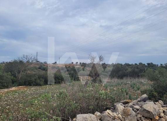 RUSTIC LAND WITH 6080M2 IN UMBRIA-PADERNE-ALBUFEIRA