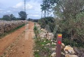 RUSTIC LAND WITH 6080M2 IN UMBRIA-PADERNE-ALBUFEIRA