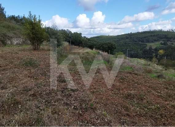 Property with 8800sqm and 3 houses in Monchique
