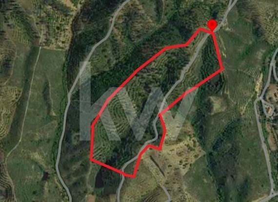 Terreno Rústico com 82860 m2 sito em Matosos, São Bartolomeu de Messines