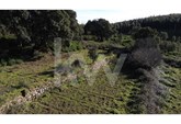 Property of 4,2ha and house os 105sqm in Monchique