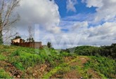 Rustic land with 261040m² and rural construction in Vale de Boi Velho