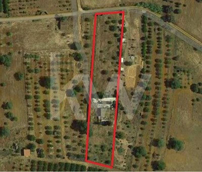 Land with 5080m2 and house for reconstruction near Alcantarilha - Silves 
