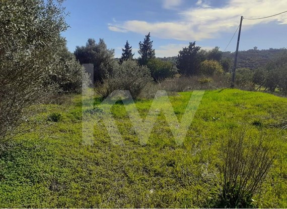 Land with 5080m2 and house for reconstruction near Alcantarilha