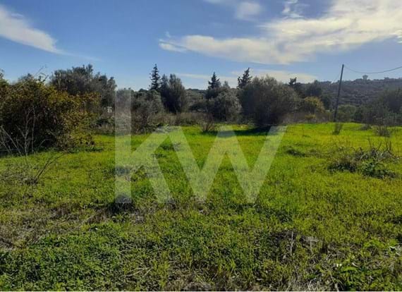 Land with 5080m2 and house for reconstruction near Alcantarilha
