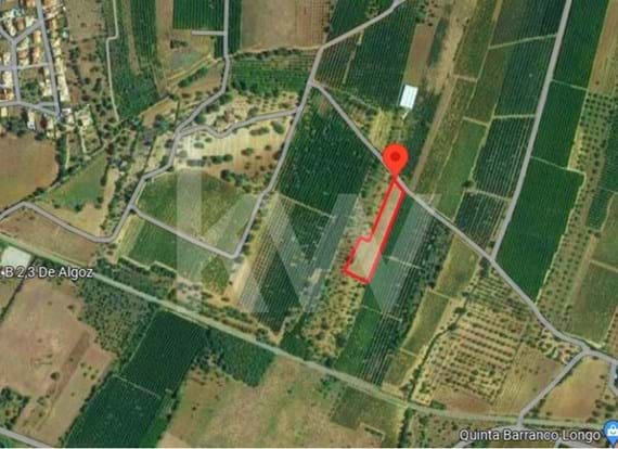 Rustic land with 6640 m2 located in Terras Brancas, Algoz