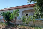 Typical Algarve Country House with 3 bedrooms and Crop Land