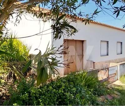 Typical Algarve Country House with 3 bedrooms and Crop Land - Silves 