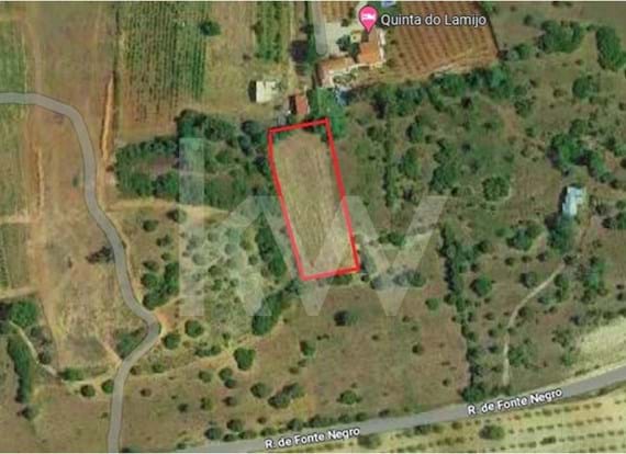 Rustic land with 3440 m2 located in Lamijo, Algoz
