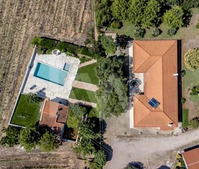 Farm in Vidigueira with 20.625m2, Single House with 5 Bedrooms, Pool, Warehouse, Social and Recreation Area - Vidigueira 