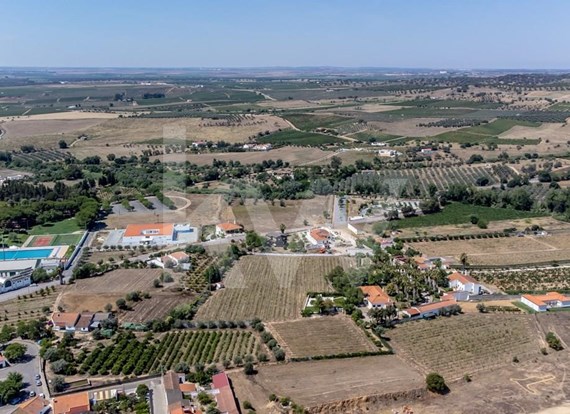 Farm in Vidigueira with 20.625m2, Single House with 5 Bedrooms, Pool, Warehouse, Social and Recreation Area