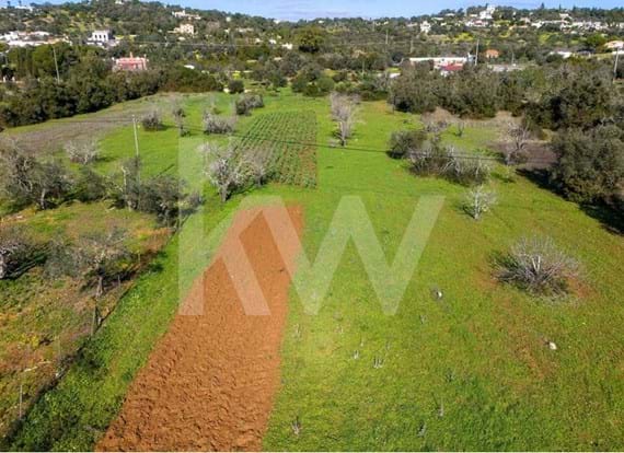 Flat land with good access from a tarmac road, with a tank and a daughter-in-law with water
