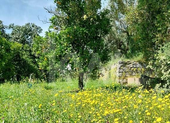 Ruin for construction or remodeling in Monchique with 130 sqm