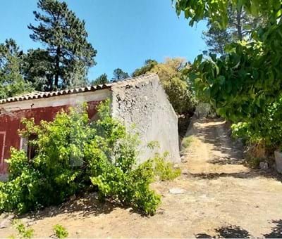 Ruin for construction or remodeling in Monchique with 130 sqm - Monchique Centro