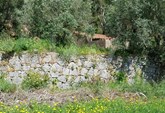 Ruin for construction or remodeling in Monchique with 130 sqm