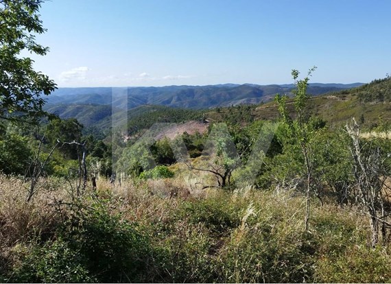 Property with 1,4ha and building of 200 sqm in Monchique