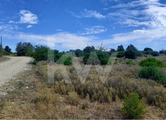 Terreno com Ruína e 7000m2, sito em Quinta do Rogel, Alcantarilha