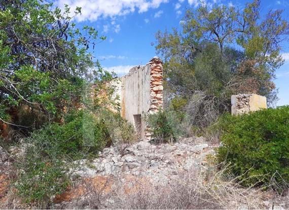Land with Ruin and 7000m2, located in Quinta do Rogel, Alcantarilha