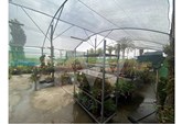 The land has an urban area of 200m2 and consists of three individual glass greenhouses with galvanized structures, each measuring 1500m2.