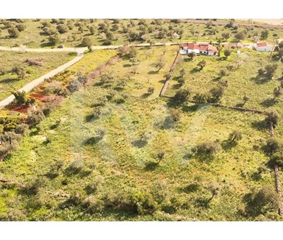 Agricultural Land with Construction Possibility - Alcantarilha - Silves 