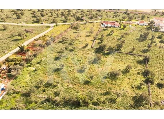Agricultural Land with Construction Possibility - Alcantarilha