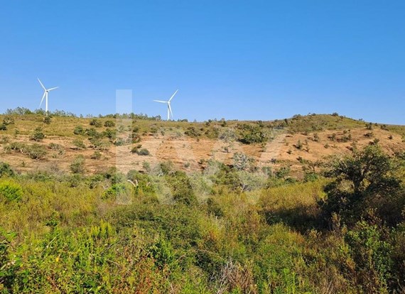 Terreno Rústico com Barragem, sito em Vinha Velha de Baixo, Barão de São João