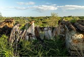 Ruin with land and stunning views | Santo Estevão | Tavira