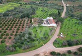 A Charming Algarve Farm Waiting for You!