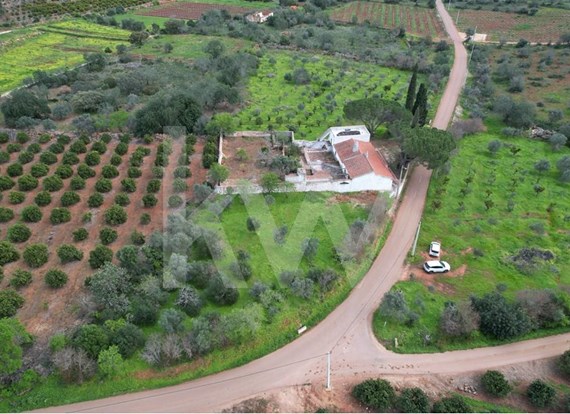 A Charming Algarve Farm Waiting for You!